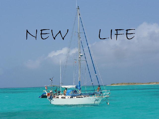 Newlife