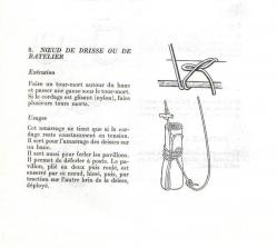 noeud de drisse